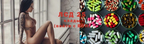 ГАЛЛЮЦИНОГЕННЫЕ ГРИБЫ Пестово