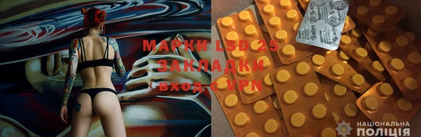 ГАЛЛЮЦИНОГЕННЫЕ ГРИБЫ Пестово