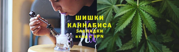 PSILOCYBIN Абаза