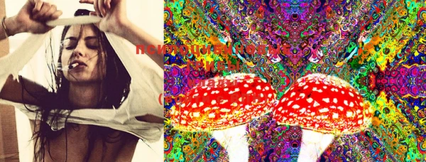 PSILOCYBIN Абаза