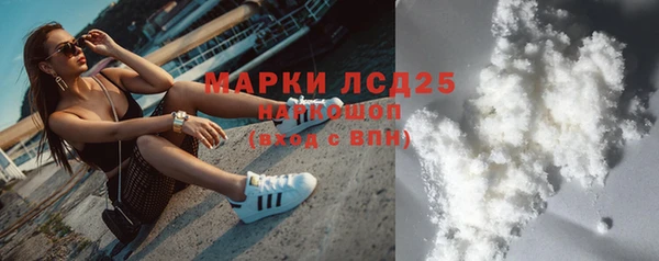 ГАЛЛЮЦИНОГЕННЫЕ ГРИБЫ Пестово